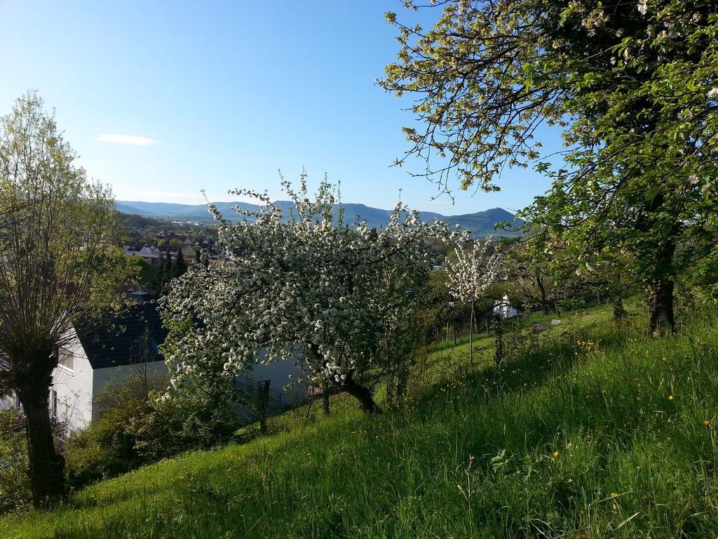 Teck-Apartment Kirchheim unter Teck Bagian luar foto